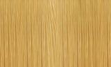 GLOSS - 10C/10.4 PLATIUNUM.COPPER 60ML