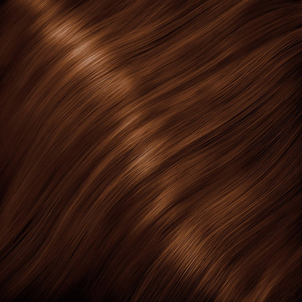 FR LUXIMA 4.-6.35 Chestnut