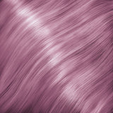 FR LUXIMA Lavender