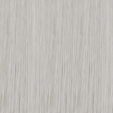 10.01 EC PRM Lightest Blonde Natural Ash 60ml